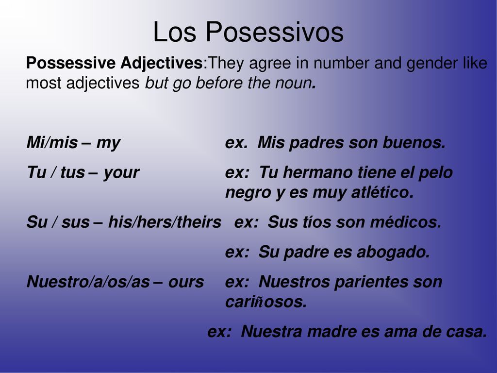 Los Posessivos Possessive Adjectives:They agree in number and gender like most adjectives but go before the noun.