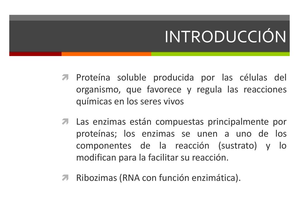 INTRODUCCIÓN Proteína soluble producida por las células del organismo, que favorece y regula las reacciones químicas en los seres vivos.