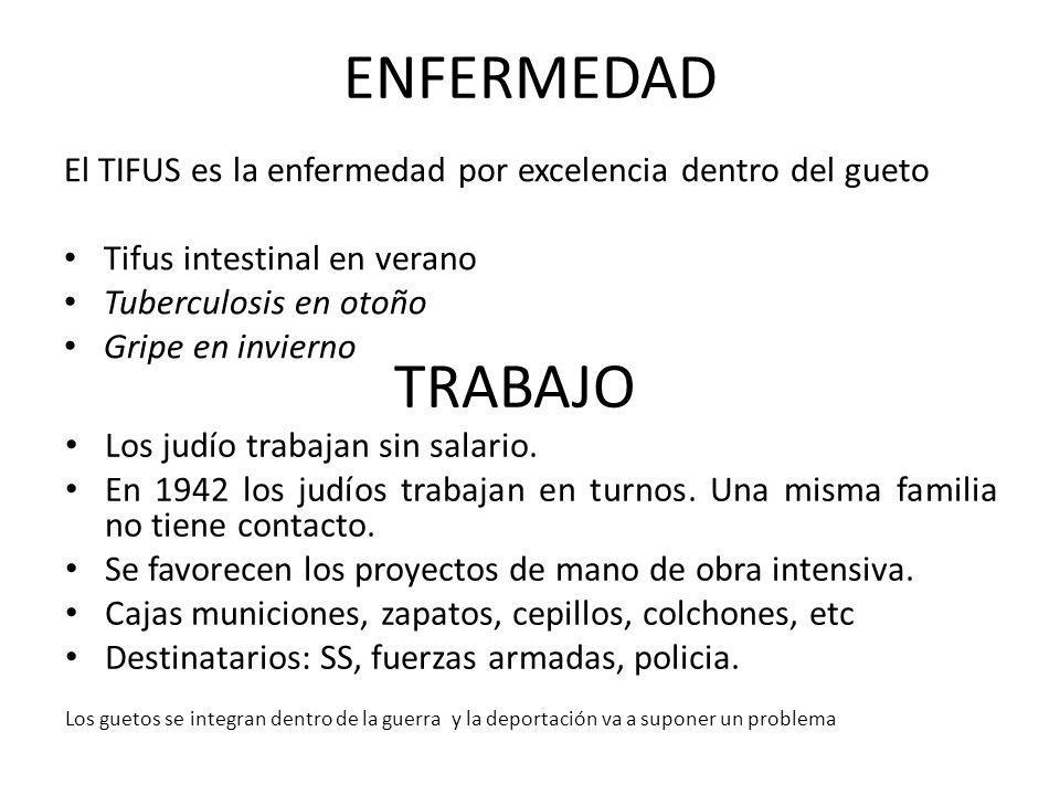 ENFERMEDAD El TIFUS es la enfermedad por excelencia dentro del gueto. Tifus intestinal en verano.