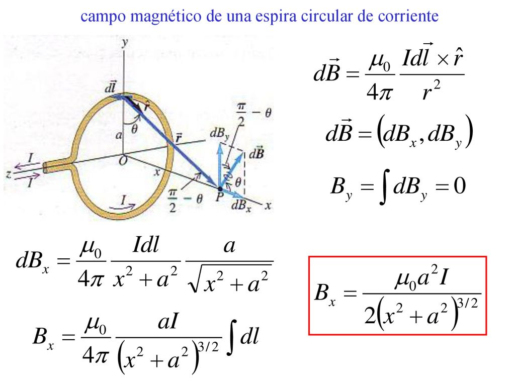 campo magnético de una espira circular de corriente