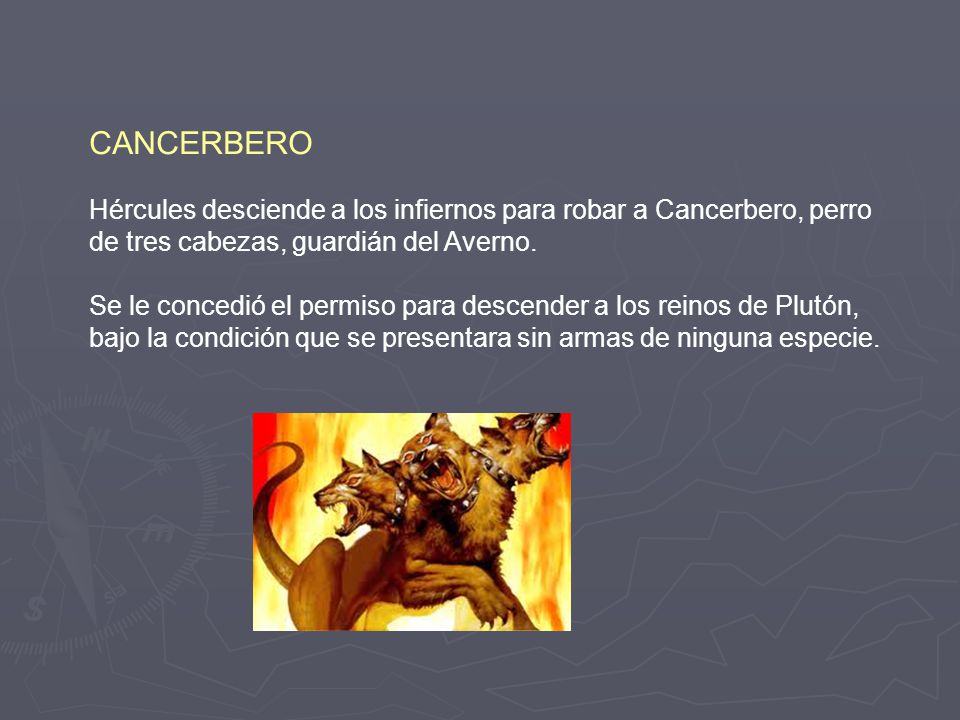 CANCERBERO Hércules desciende a los infiernos para robar a Cancerbero, perro de tres cabezas, guardián del Averno.