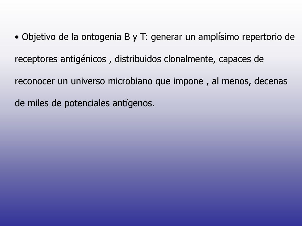 • Objetivo de la ontogenia B y T: generar un amplísimo repertorio de