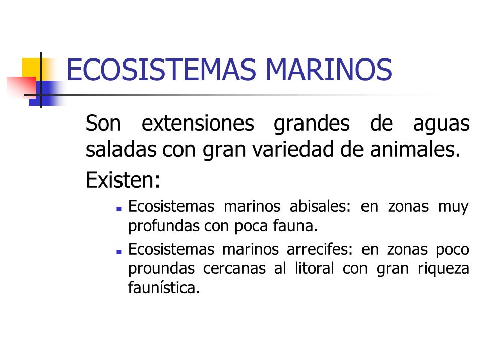 ECOSISTEMAS MARINOS Son extensiones grandes de aguas saladas con gran variedad de animales. Existen: