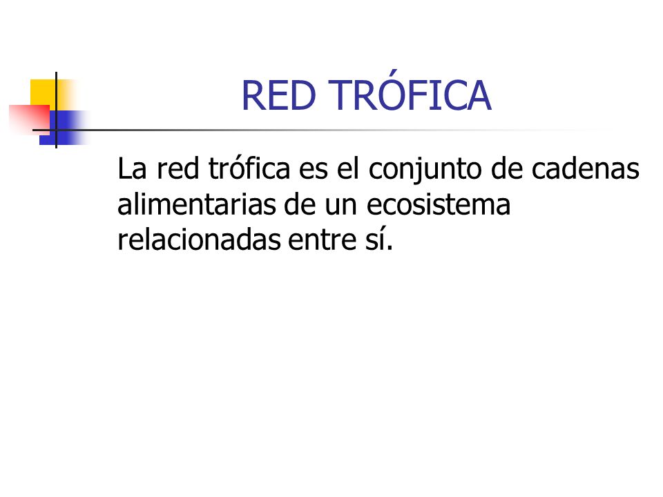 RED TRÓFICA La red trófica es el conjunto de cadenas alimentarias de un ecosistema relacionadas entre sí.