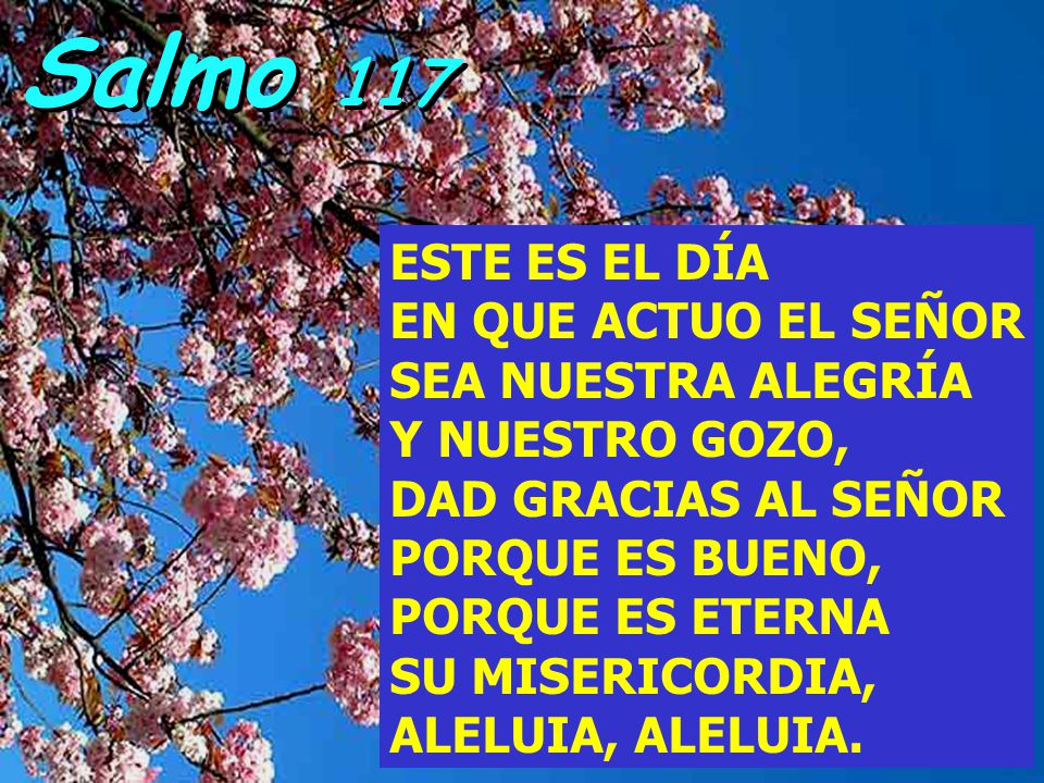 Salmo 117 ESTE ES EL DÍA EN QUE ACTUO EL SEÑOR SEA NUESTRA ALEGRÍA