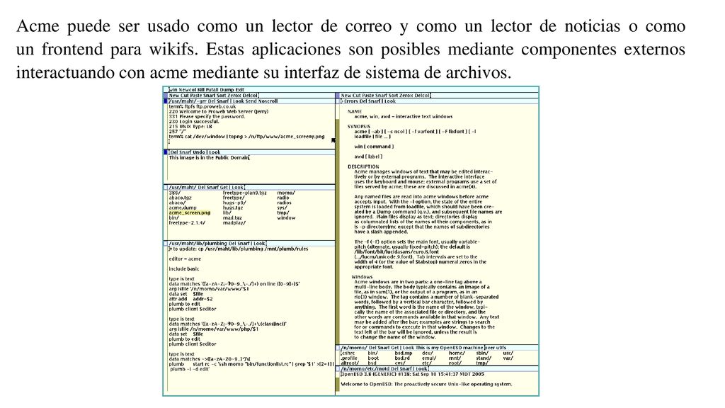 Acme puede ser usado como un lector de correo y como un lector de noticias o como un frontend para wikifs.