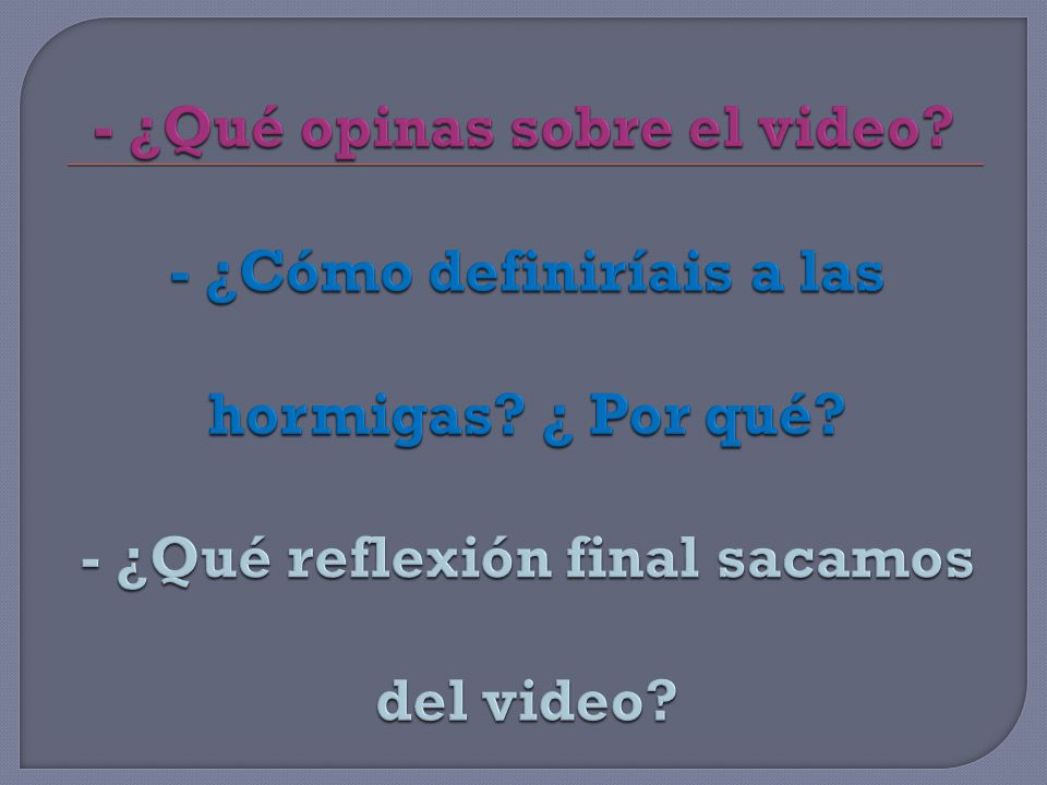 - ¿Qué opinas sobre el video. - ¿Cómo definiríais a las hormigas