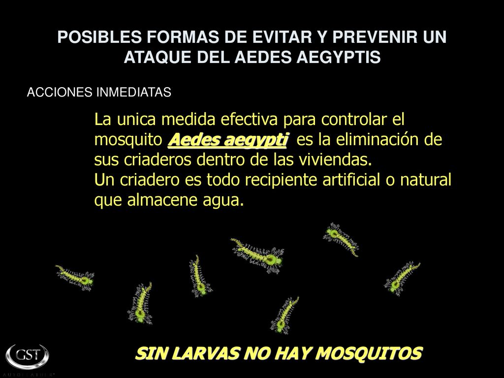 POSIBLES FORMAS DE EVITAR Y PREVENIR UN ATAQUE DEL AEDES AEGYPTIS