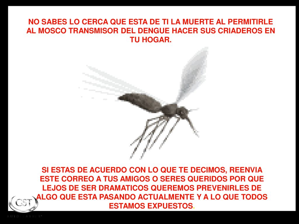 NO SABES LO CERCA QUE ESTA DE TI LA MUERTE AL PERMITIRLE AL MOSCO TRANSMISOR DEL DENGUE HACER SUS CRIADEROS EN TU HOGAR.