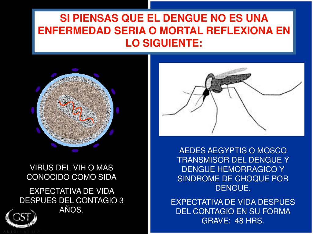 SI PIENSAS QUE EL DENGUE NO ES UNA ENFERMEDAD SERIA O MORTAL REFLEXIONA EN LO SIGUIENTE: