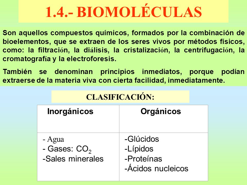 1.4.- BIOMOLÉCULAS CLASIFICACIÓN: - Agua - Gases: CO2 -Sales minerales