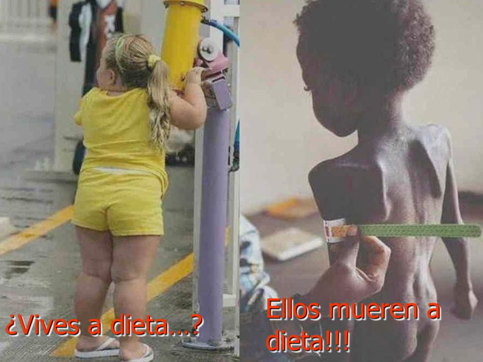 ¿Vives a dieta… Ellos mueren a dieta!!!