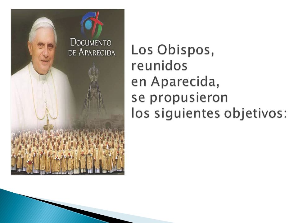 Los Obispos, reunidos en Aparecida, se propusieron los siguientes objetivos: