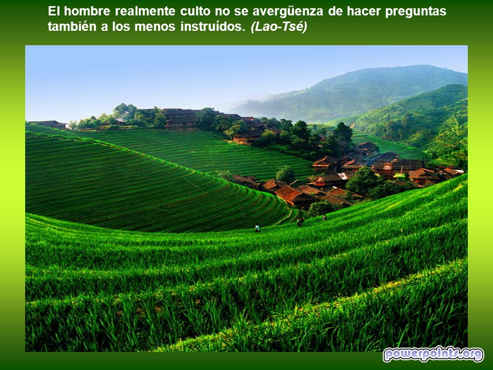 El hombre realmente culto no se avergüenza de hacer preguntas también a los menos instruídos.