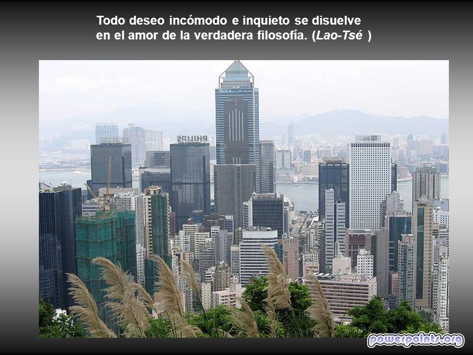 Todo deseo incómodo e inquieto se disuelve en el amor de la verdadera filosofía. (Lao-Tsé )