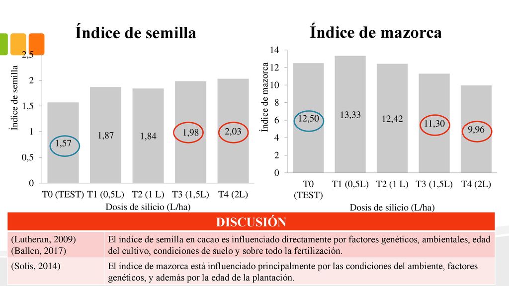 Índice de semilla Índice de mazorca DISCUSIÓN (Lutheran, 2009)