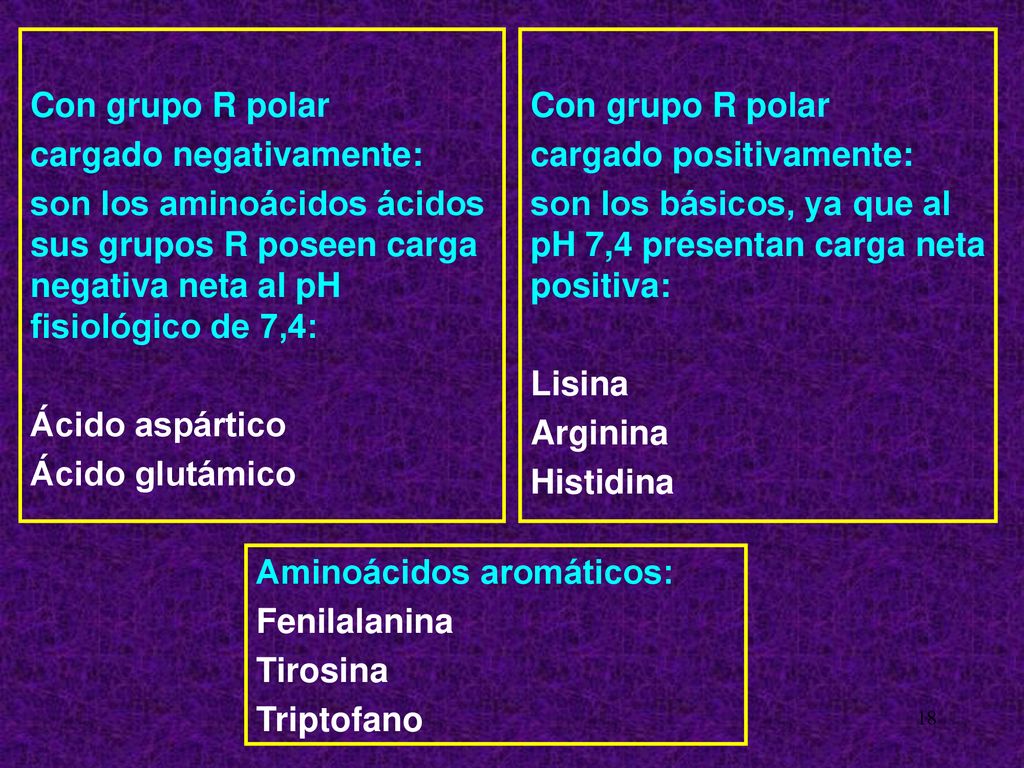 Con grupo R polar cargado negativamente: son los aminoácidos ácidos sus grupos R poseen carga negativa neta al pH fisiológico de 7,4: