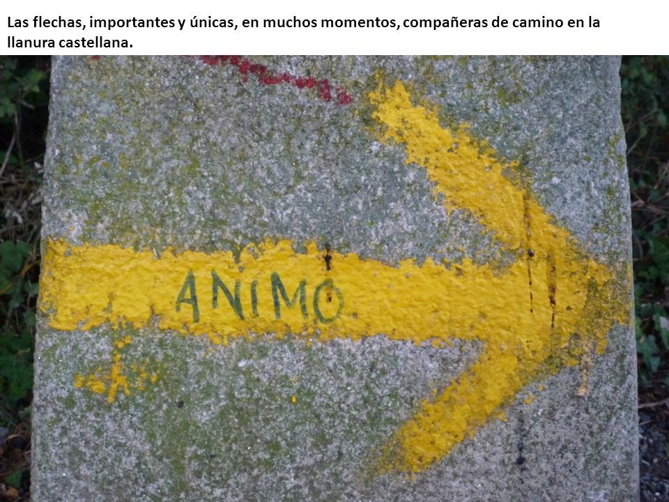 Las flechas, importantes y únicas, en muchos momentos, compañeras de camino en la llanura castellana.