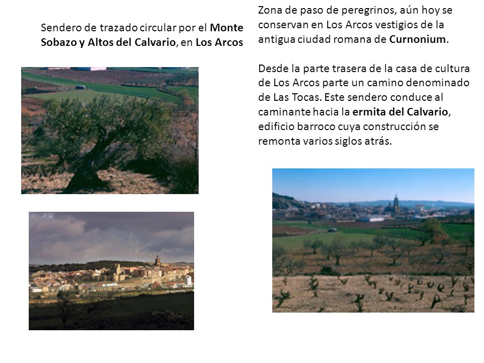 Zona de paso de peregrinos, aún hoy se conservan en Los Arcos vestigios de la antigua ciudad romana de Curnonium. Desde la parte trasera de la casa de cultura de Los Arcos parte un camino denominado de Las Tocas. Este sendero conduce al caminante hacia la ermita del Calvario, edificio barroco cuya construcción se remonta varios siglos atrás.