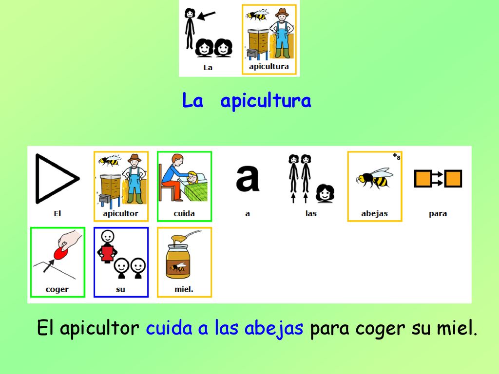 La apicultura El apicultor cuida a las abejas para coger su miel.