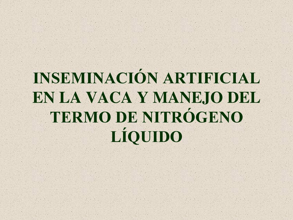 INSEMINACIÓN ARTIFICIAL EN LA VACA Y MANEJO DEL TERMO DE NITRÓGENO LÍQUIDO