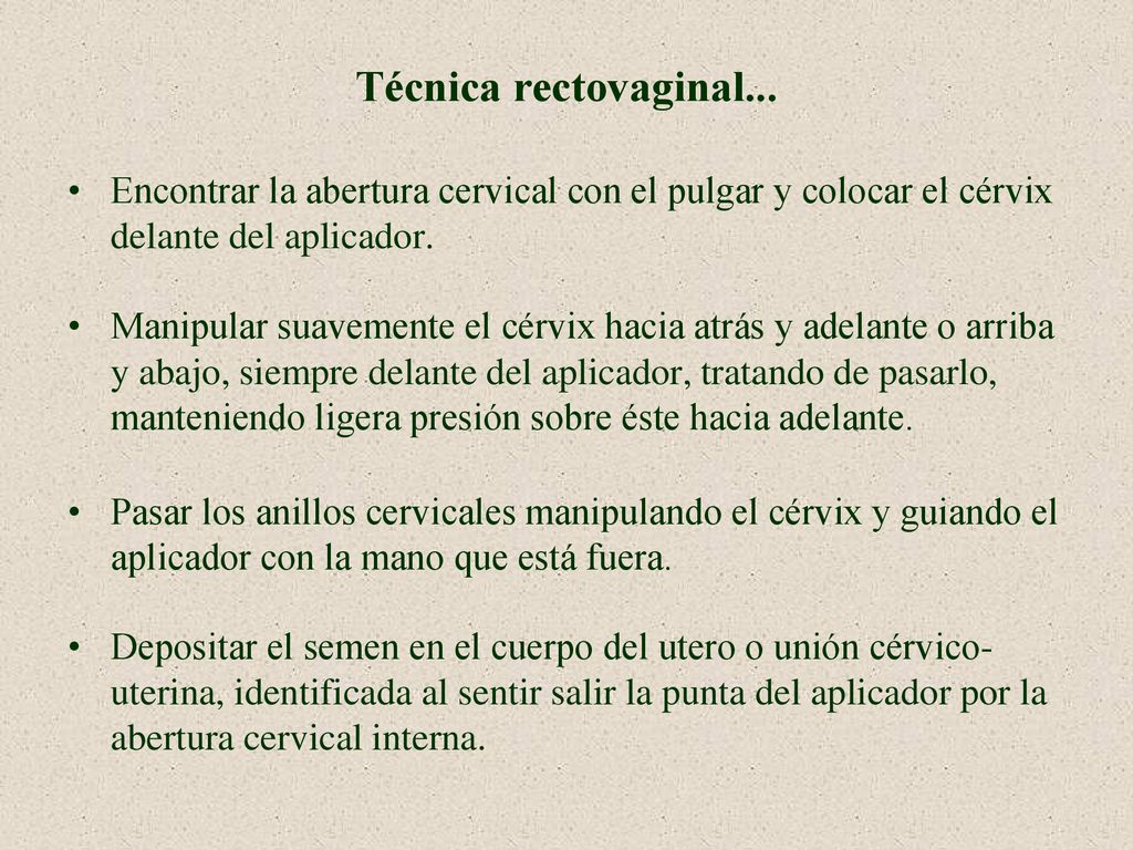 Técnica rectovaginal... Encontrar la abertura cervical con el pulgar y colocar el cérvix delante del aplicador.