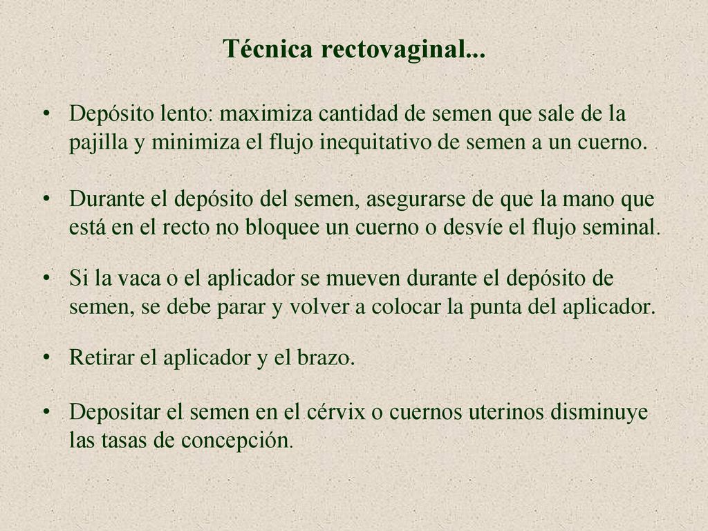 Técnica rectovaginal... Depósito lento: maximiza cantidad de semen que sale de la pajilla y minimiza el flujo inequitativo de semen a un cuerno.