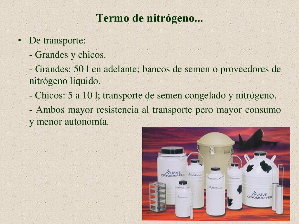 Termo de nitrógeno... De transporte: - Grandes y chicos.