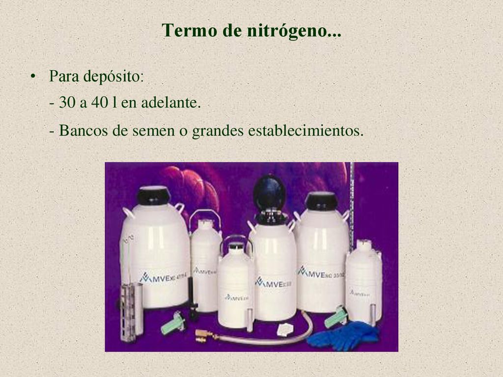 Termo de nitrógeno... Para depósito: - 30 a 40 l en adelante.