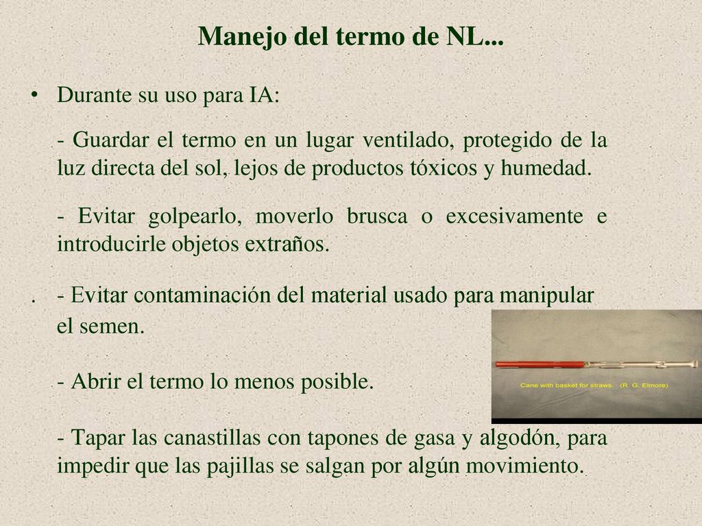 Manejo del termo de NL... Durante su uso para IA: