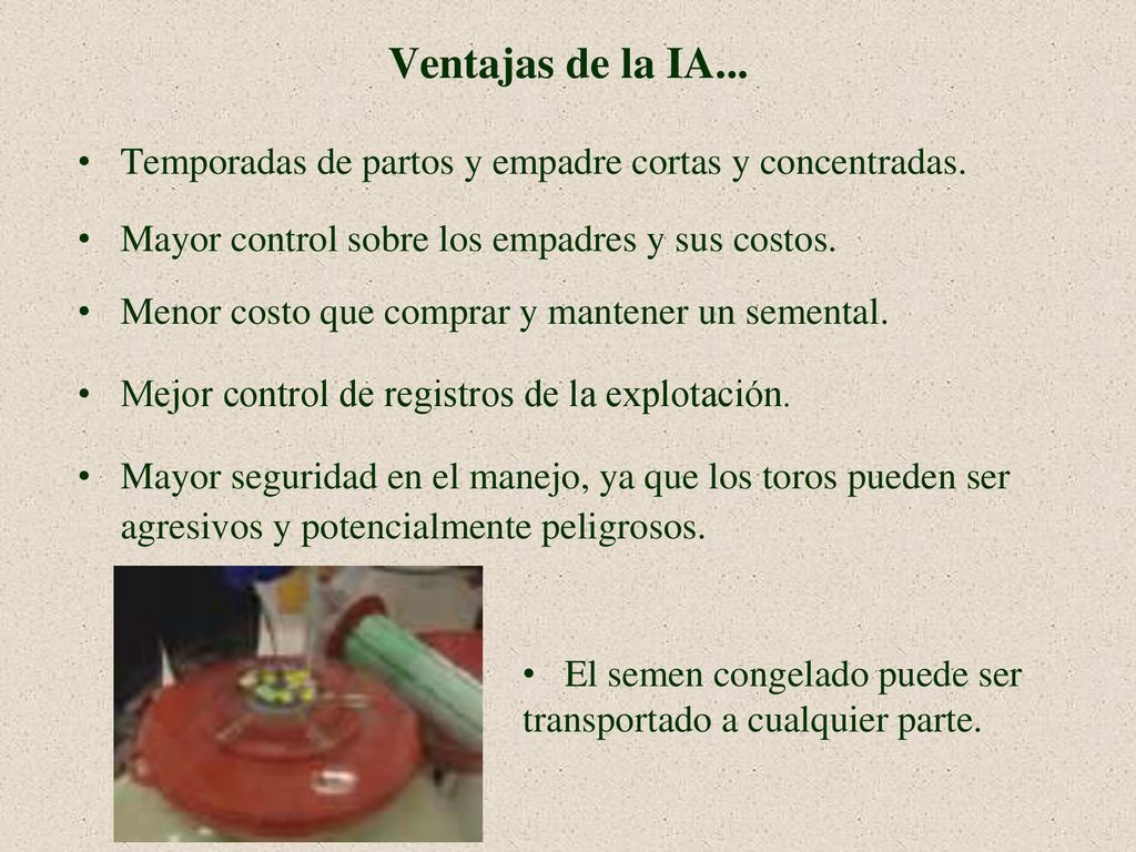 Ventajas de la IA... Temporadas de partos y empadre cortas y concentradas. Mayor control sobre los empadres y sus costos.