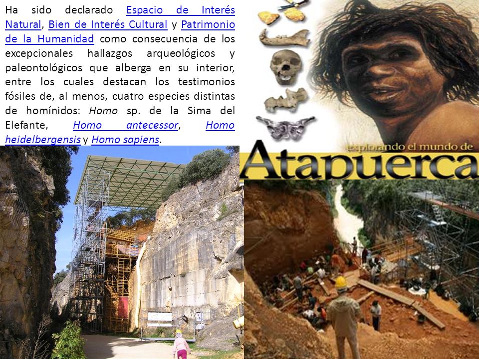 Ha sido declarado Espacio de Interés Natural, Bien de Interés Cultural y Patrimonio de la Humanidad como consecuencia de los excepcionales hallazgos arqueológicos y paleontológicos que alberga en su interior, entre los cuales destacan los testimonios fósiles de, al menos, cuatro especies distintas de homínidos: Homo sp.
