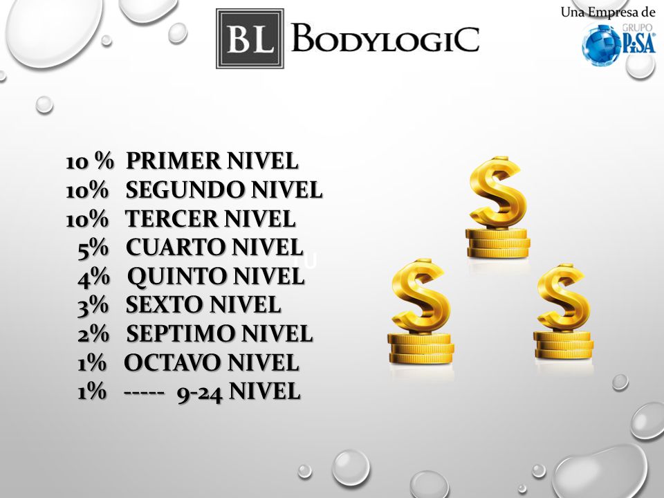 10 % PRIMER NIVEL 10% SEGUNDO NIVEL 10% TERCER NIVEL 5% CUARTO NIVEL