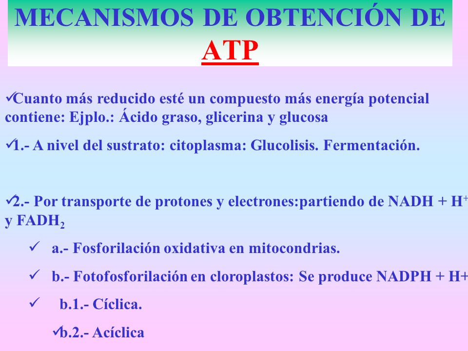 MECANISMOS DE OBTENCIÓN DE ATP