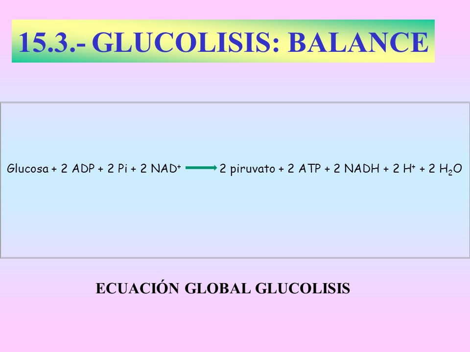 GLUCOLISIS: BALANCE ECUACIÓN GLOBAL GLUCOLISIS