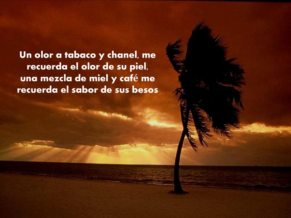 Un olor a tabaco y chanel, me recuerda el olor de su piel, una mezcla de miel y café me recuerda el sabor de sus besos