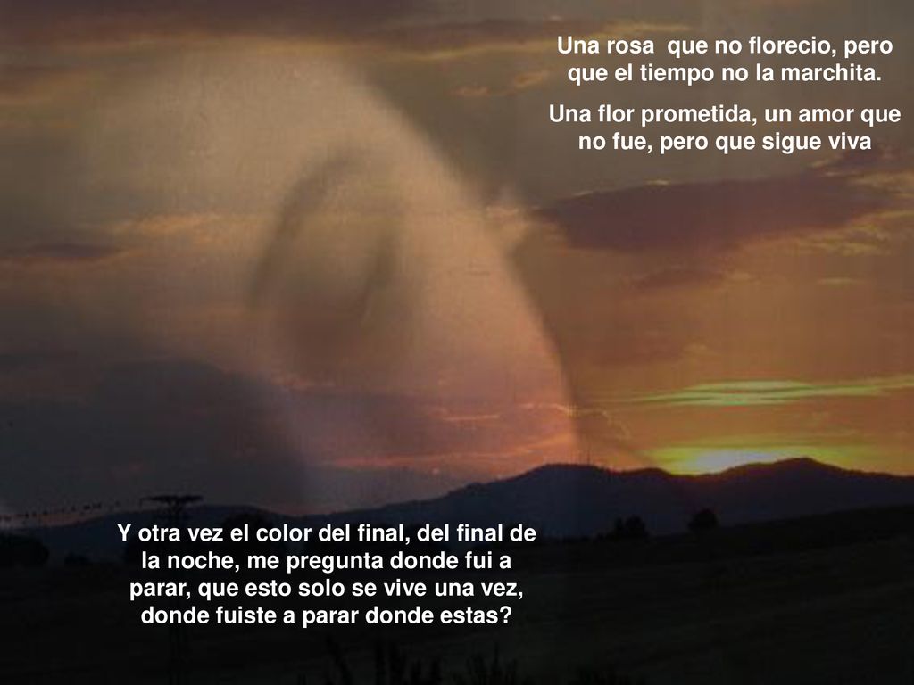 Una rosa que no florecio, pero que el tiempo no la marchita.