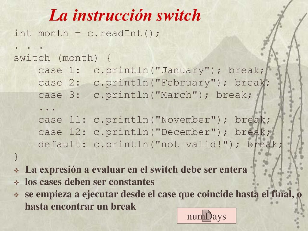 La instrucción switch int month = c.readInt(); switch (month) {