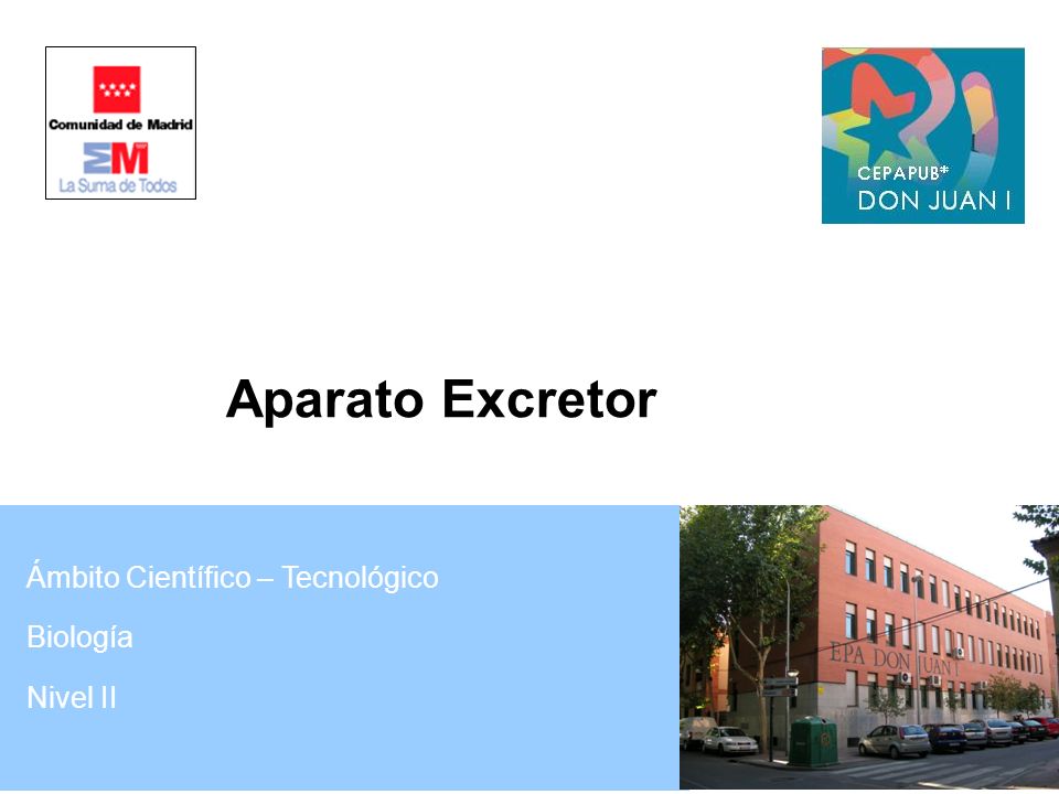 Aparato Excretor Ámbito Científico – Tecnológico Biología Nivel II