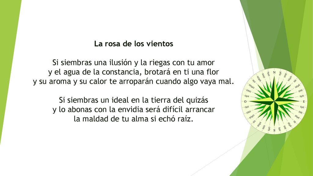 Si siembras una ilusión y la riegas con tu amor