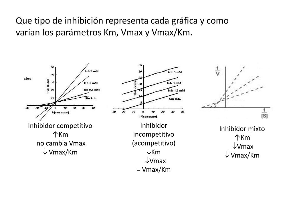Que tipo de inhibición representa cada gráfica y como varían los parámetros Km, Vmax y Vmax/Km.