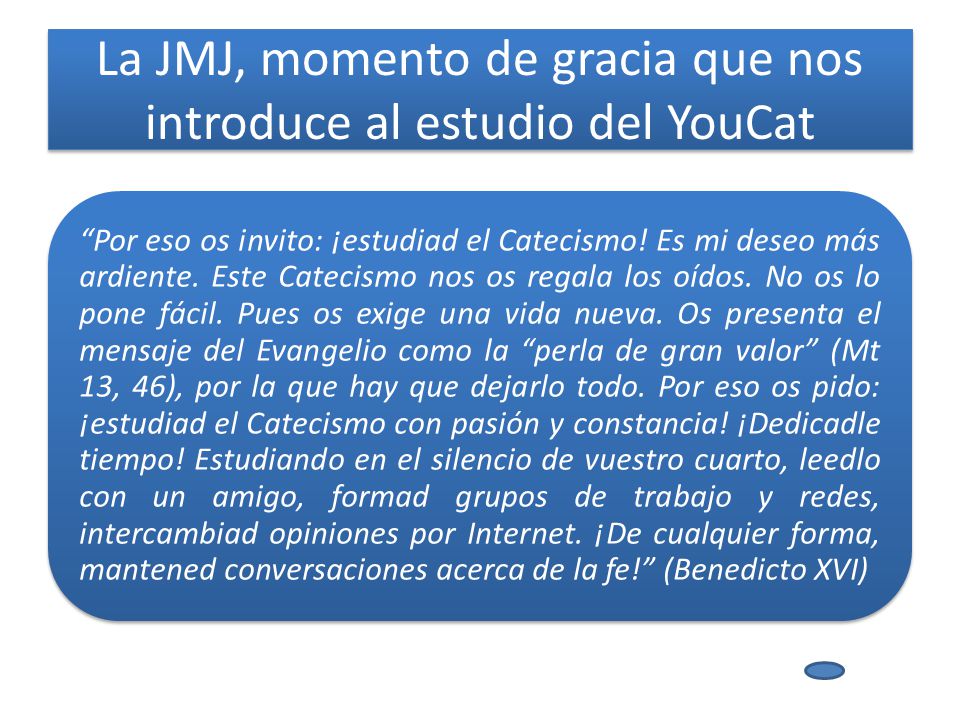 La JMJ, momento de gracia que nos introduce al estudio del YouCat