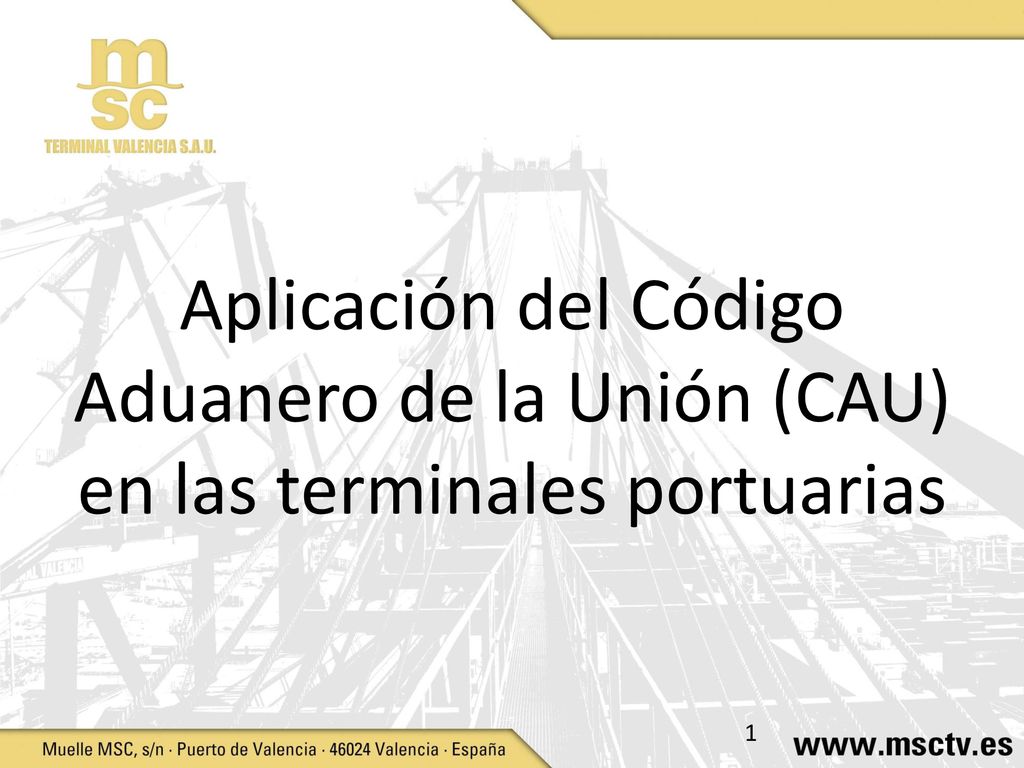 Aplicación del Código Aduanero de la Unión (CAU) en las terminales portuarias