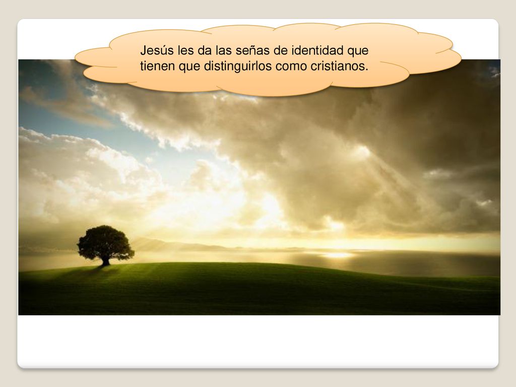 Jesús les da las señas de identidad que tienen que distinguirlos como cristianos.