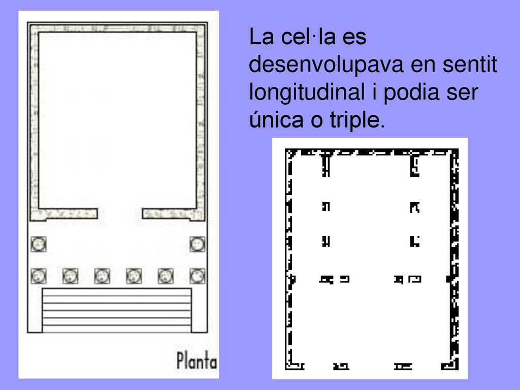 La cel·la es desenvolupava en sentit longitudinal i podia ser única o triple.
