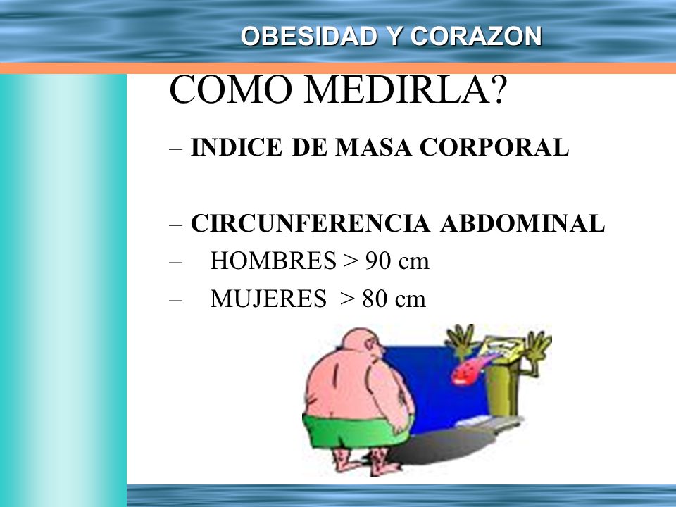 COMO MEDIRLA INDICE DE MASA CORPORAL CIRCUNFERENCIA ABDOMINAL