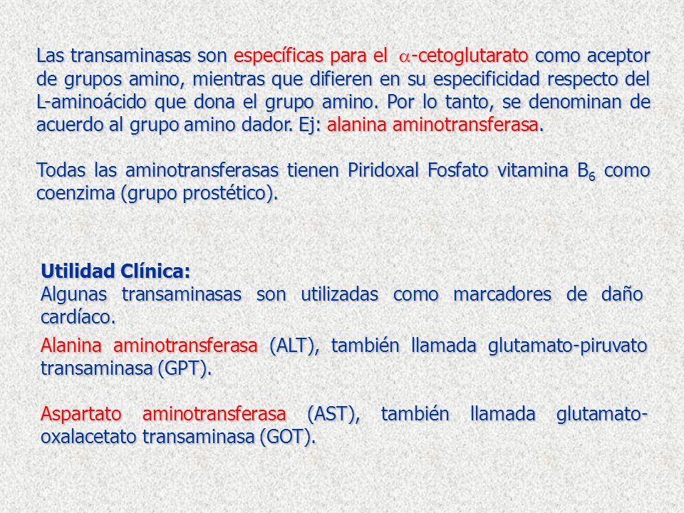 Las transaminasas son específicas para el -cetoglutarato como aceptor de grupos amino, mientras que difieren en su especificidad respecto del L-aminoácido que dona el grupo amino. Por lo tanto, se denominan de acuerdo al grupo amino dador. Ej: alanina aminotransferasa.