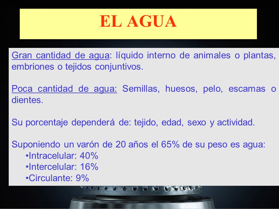 EL AGUA Gran cantidad de agua: líquido interno de animales o plantas, embriones o tejidos conjuntivos.