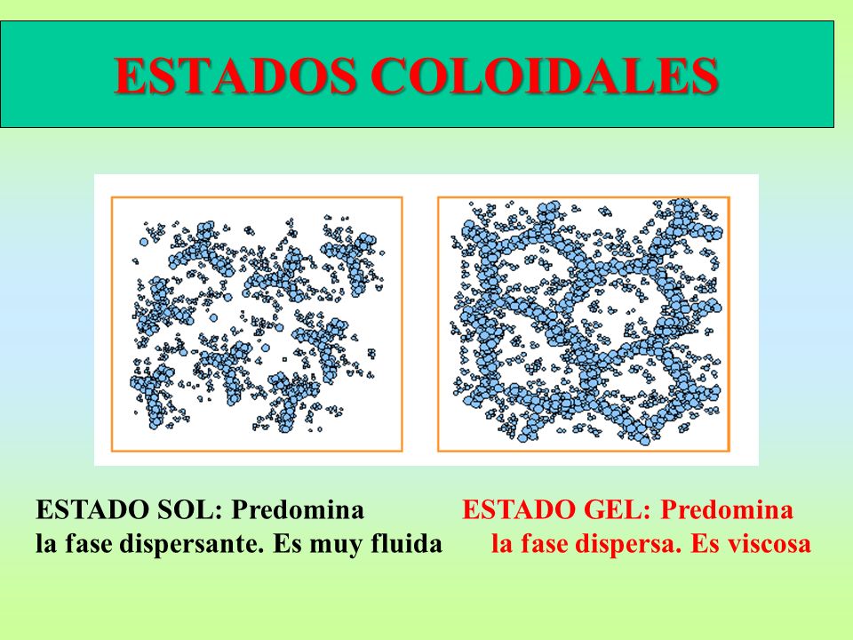 ESTADOS COLOIDALES ESTADO SOL: Predomina ESTADO GEL: Predomina la fase dispersante.