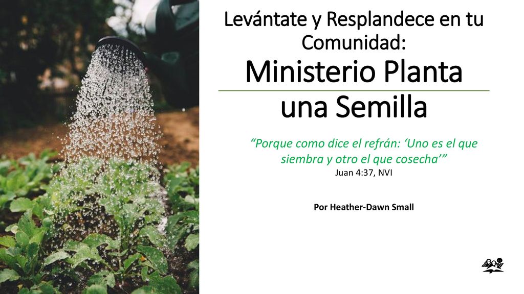 Levántate y Resplandece en tu Comunidad: Ministerio Planta una Semilla